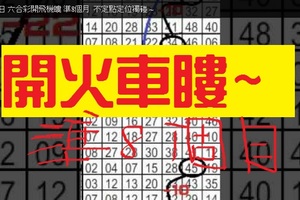 11月3日 六合彩開飛機瞜 準8個月 不定點定位獨碰 ~