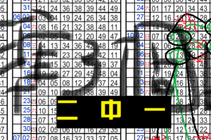 (11/05)六合 準第8個月2中1...((養車立柱用2中1到期..