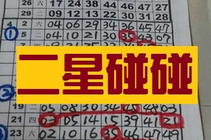 11月13日 六合 二中一參考一下............