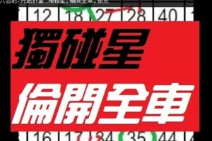 11月22日 六合彩- 月底計畫...獨碰星。輪開全車。孤支