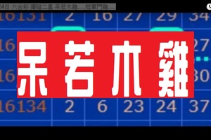 11月24日 六合彩 獨碰二星 呆若木雞.....冠軍鬥雞.....