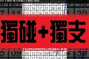 (11/29)六合彩【獨碰+獨支專欄】天機數~港號~