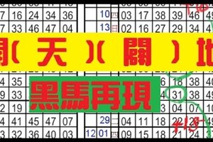 12月10日 六合彩 白馬再現~獨碰加開[ 天 ] [ 闢 ] 地