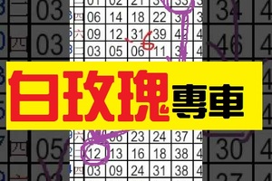 12月13日六合彩 白玫瑰 專車~獨碰加獨支共三星