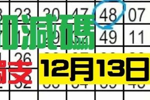 [12/13] 六合彩 不定位 定點 加減碼 獨支