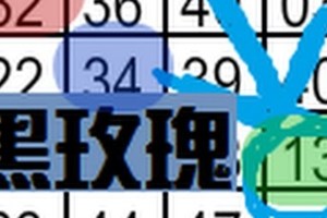 12月13日 六合彩 黑玫瑰 獨支對對碰 ~ 專車碰碰車