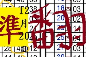 12月20日 六合彩 準準準 飛上枝頭當鳳凰~ 獨支專車