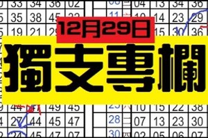 (12/29) 六合彩【獨碰+獨支專欄】天機數~港號~