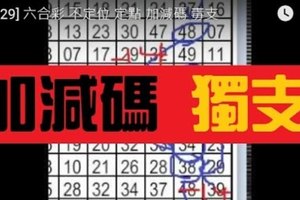 [12/29] 六合彩 不定位 定點 加減碼 毒支