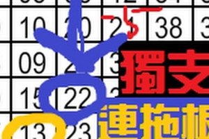 (12/29)【六合】連拖版獨支、階梯式二星、部定位連拖獨碰三星