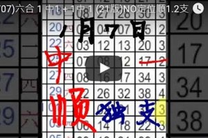 (01/07)六合 1 中1 + 1中 1 (21版)NO定位順1.2支