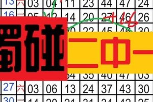 1月7日 六合彩 單定點定位 ~ 獨碰2中一 ~精選獨碰