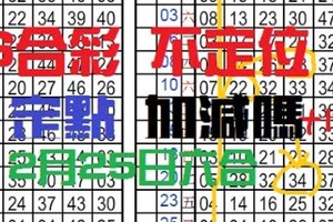 2月25日 六合彩 6合彩 不定位 定點 加減嗎 獨支