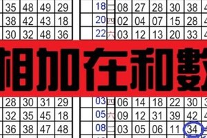 11月17日 六合彩 相加在和數 白木耳美麥喔!