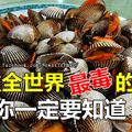 驚呆了！【10種全世界最毒的食物】幾種都是我們生活常吃的啊～ 