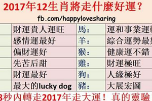 2017年12生肖將走什麼好運？88秒內轉走2017年走大運！真的靈驗！