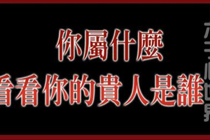 ✅106年貴人生肖大全！找找看你今年的貴人是屬什麼的…【很凖】 