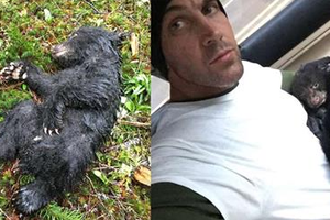 來到野外健行的攝影師在山頂發現一隻奄奄一息的小熊，沒想到這一救卻替他惹來不少麻煩！ 