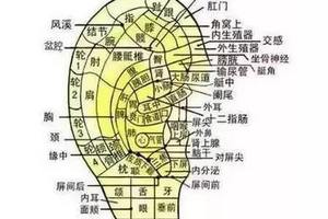 用兩個手指夾住耳朵揉15下，結果奇跡發生了...