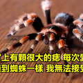 10個網友分享他們分手的超奇葩原因 看完後真的不相信愛情了...