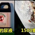 15個「能夠在網上買到」的超荒唐商品，看完後只想問，這些東西真的會有人買嗎...