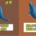 12組我們都理解錯的「動物迷思VS事實」對比圖，原來大象的腳步聲很小！