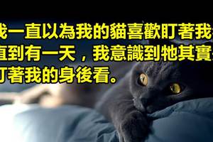 《２句話恐怖故事》短短的幾句就讓你毛骨悚然...