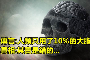 35個破解那些流言的超驚奇冷知識 看完後仿佛智商高了一個檔次！