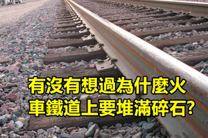 這就是為什麼火車鐵道上要堆滿碎石的原因！看完後只能說人類真是太聰明了！