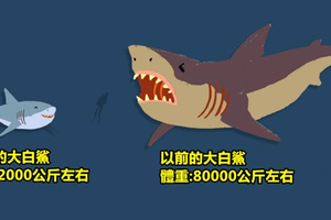 盤點 11只「古代巨獸VS現代親戚」體型對比圖，藍鯨以前的模樣也太激萌了吧！