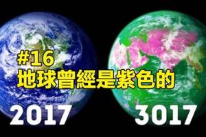 17個「到現在大家還是不敢置信」的科學真實冷知識，原來地球最一開始是紫色的！