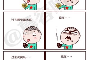 我们再也回不去了，对不对？