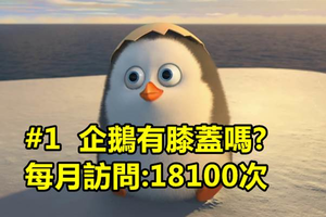 ７個「ＧＯＯＧＬＥ大神」自己都覺得困惑的「超詭異提問」，你家人知道你ｇｏｏｌｅ這些「愚蠢問題」嗎？