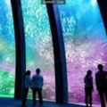 日本最大的水族館終於確定將「落腳於台灣的這個地方」，裡面的10萬動物讓你一次過看到飽！