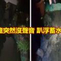 3歲女童突然沒聲音趴浮蓄水池命危