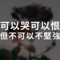 傻孩子，你記住：可以哭，可以恨，但不可以不堅強！