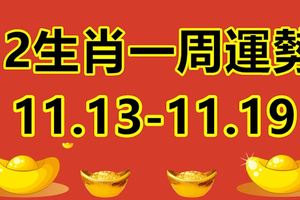 12生肖一周運勢（11.13-11.19）