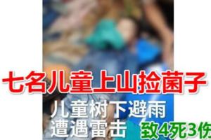 七名兒童上山撿菌子樹下避雨遭雷擊，致4死3傷、