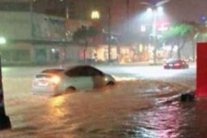 半夜暴雨狂炸！高雄市民不敢睡怒喊「市長快起床！」