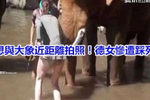 想與大象近距離拍照！德女慘遭踩死