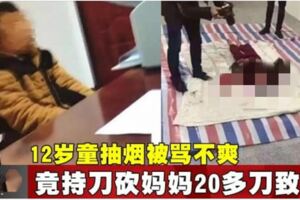 12歲童抽煙被罵不爽竟持刀砍媽媽20多刀致死!