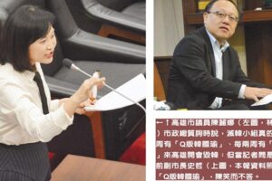 高市議員陳麗娜爆料！Q版韓 爆炸頭 每周開會滅韓