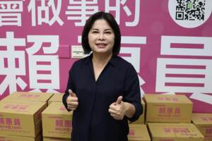 綠營初選壞同志感情 台南立委選情難料