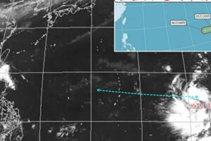 明起東北轉濕涼！「哈吉貝」恐成颱　強度將直逼中颱上限