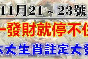 （11月21～23號）一發財就停不住，這六肖註定大發橫財，貴人到門前