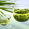 綠茶不只抗癌，最新研究：綠茶中的「多酚類化合物」能挽救「骨髓性疾病」患者性命！