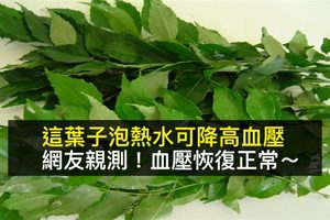 【這葉子】泡熱水喝可降高血壓， 血壓升到二百出，打算送院。結果喝後血壓回復正常 ！