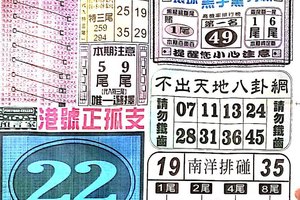 11/8  中國新聞報-六合彩參考