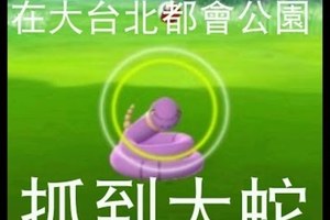 《Pokemon Go》大台北都會公園 抓到大蛇 【瘋景點】