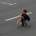 小狗被車撞到馬路中央嚇得發抖，只有一個小男孩願意幫牠 